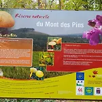 Ancienne Imprimerie *