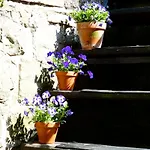 Ancienne Imprimerie * Bomal