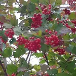Ancienne Imprimerie 펜션 보말