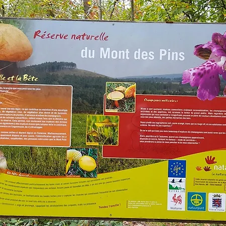 Ancienne Imprimerie *