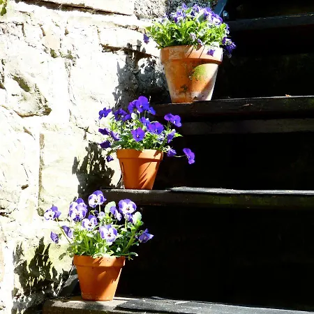 Ancienne Imprimerie * Bomal