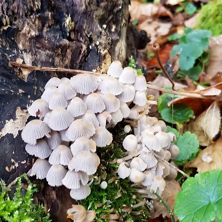 Сasa de vacaciones Ancienne Imprimerie