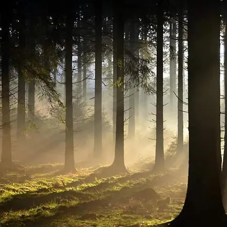 Ancienne Imprimerie Сasa de vacaciones Bomal